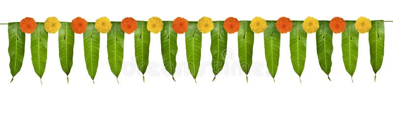 Indian flower garland of mango leaves and marigold flowers. Ugadi diwali ganesha festival poojas weddings functions holiday ornate