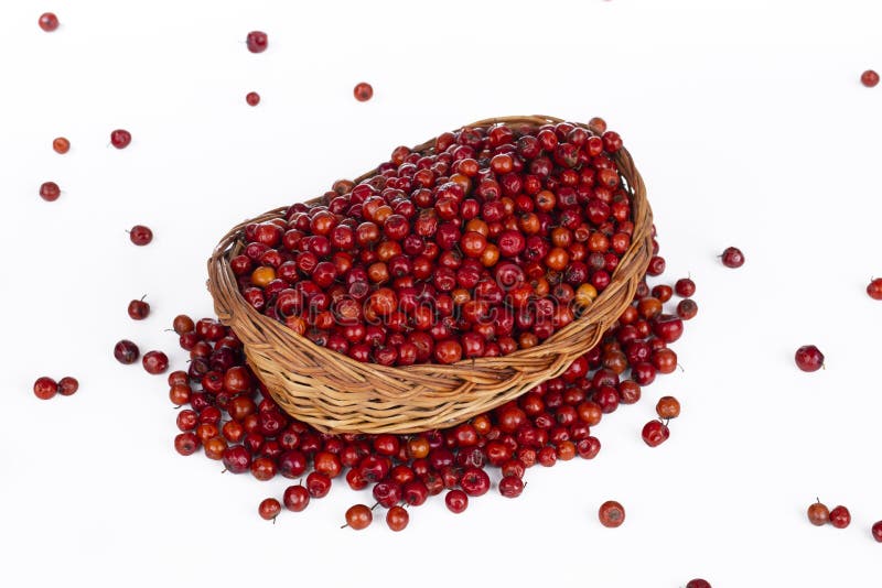 Indian Fruit Red Berry on White Background Stock Image Image of