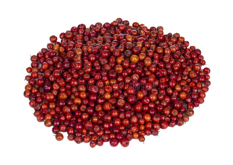 Indian Fruit Red Berry on White Background Stock Photo Image of