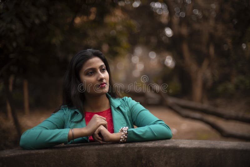 Portrait of an Young Indian Woman in Traditional Wear Sari Stock Image ...