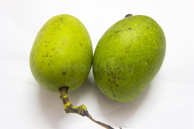 Indian Green Mango stock image. Image of white, sweet 145049411