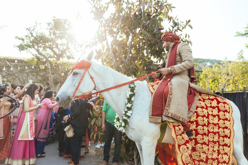 Indian groom ridding white horse with yellow and red pattern fabric, flower necklace and red turban with guests.