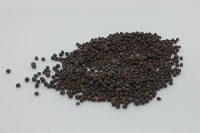 Indian kitchen, food ingredients mustard seeds stock photo Indian kitchen, food ingredients mustard seeds stock photo