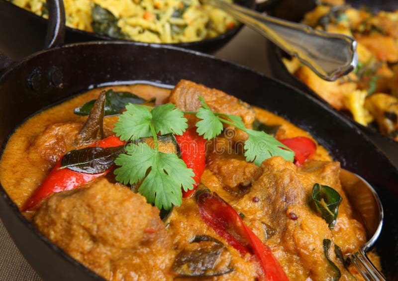 Indian Lamb Korma Curry stock image. Image of black, korai 6844813
