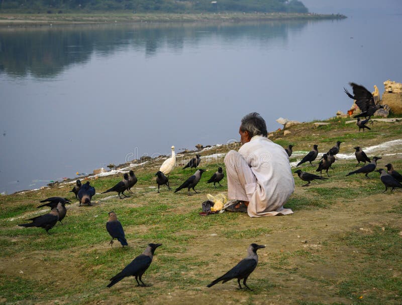 Indian Man Feeding Birds on Riverbank Editorial Stock Photo - Image of agra, riverside: 166450188 Indian Man Feeding Birds on Riverbank Editorial Stock Photo - Image of agra, riverside: 166450188