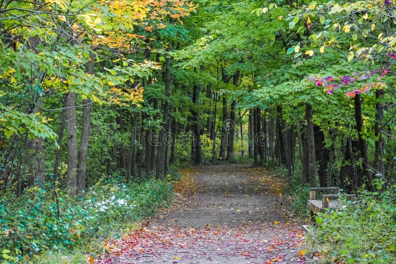 Indian Mounds Trail, High Cliff State Park