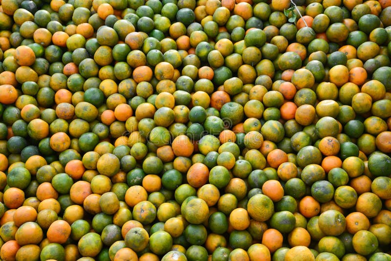 Indian Oranges stock photo. Image of farmers, fruit, market 35742664