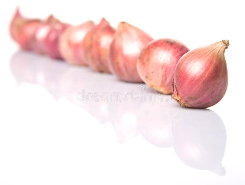 Indian small red onions over white background. Indian small red onions over white background