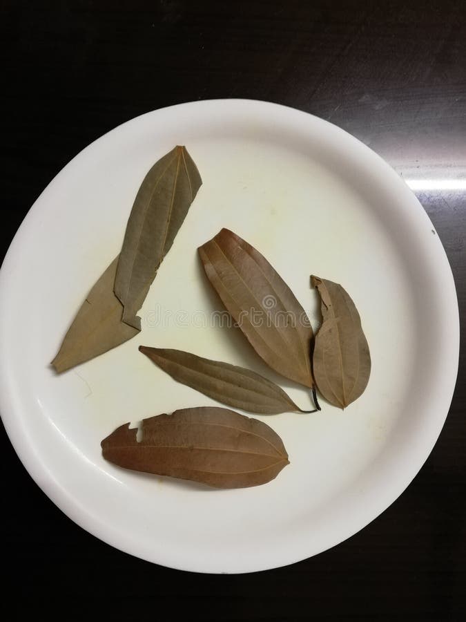 Indian Spice Dried Bay Leaf Stock Image Image of leaf, indian 164476239