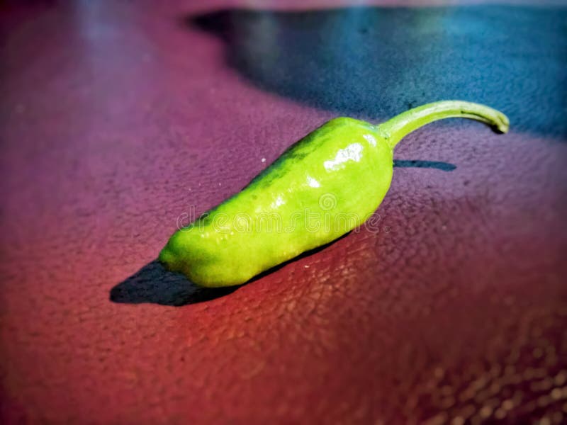 Spicegreen Stock Photos Free & RoyaltyFree Stock Photos from Dreamstime