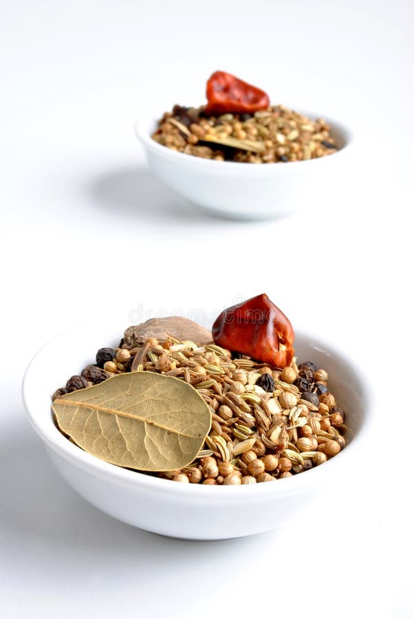 Indian spice mix stock image. Image of gourmet, gastronomy 11695585