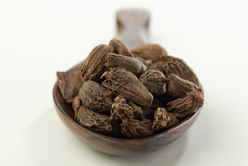 Indian SpicesBlack Cardamom. Stock Photo Image of spices, assorted 42980440