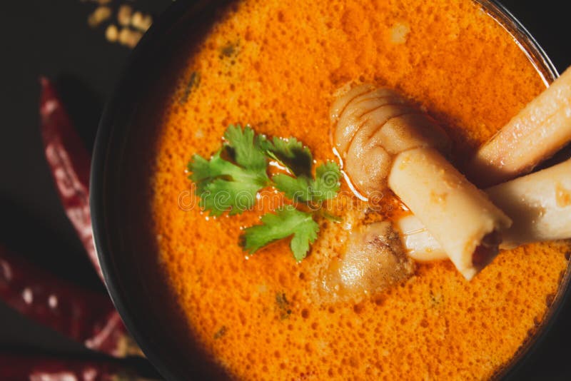 Indian Style Spicy Mutton or Lamb Curry with Spices, Closeup View Stock