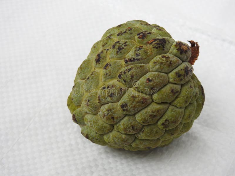 Indian Sugar Apple or Sitaphal Fruit Isolated on White Background Stock ...