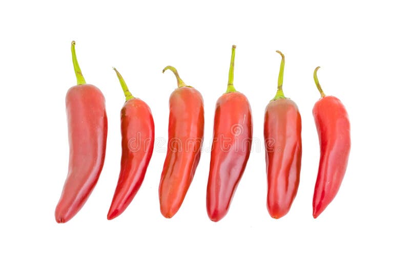 Red Chilli stock image. Image of chile, chyly, fresh 105607881