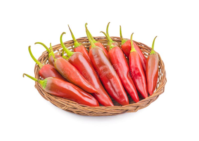 Red Chilli stock image. Image of isolated, chyli, gourmet 105607907