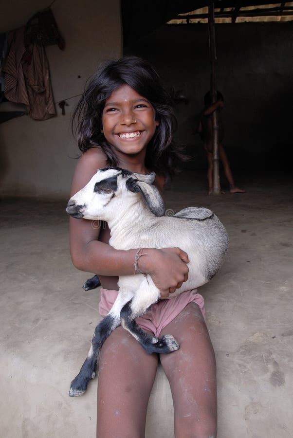 Indian Village Girl Editorial Photo Image Of Goat Health 15793486 