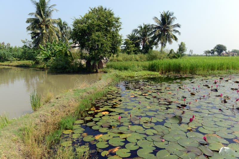 Indian Village stock photography