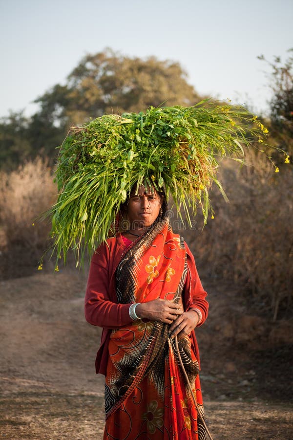 Indian villager woman carrying green grass