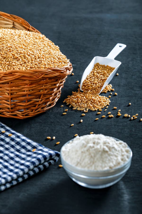 Indian Wheat Grains and Wheat Flour Stock Photo Image of dietary