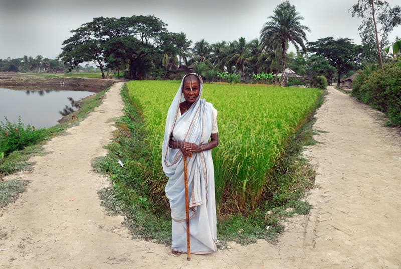 After independence of India (in 1947) and the subsequent reforms that followed, the dress-code for widows became less rigorous and has disappeared. In cities, at least among middle class, no child-widows are seen. However, widow remarriages are not common. Widowhood is considered still considered a curse and family support is missing at times. But the humiliation of facing a barber for tonsuring the head belongs to history. It goes to the credit of widowed women that they face life bravely and try to be cheerful believing in fate or the karma theory. They tried to lead a pious and austere life presently to earn auspicious existence in next birth. After independence of India (in 1947) and the subsequent reforms that followed, the dress-code for widows became less rigorous and has disappeared. In cities, at least among middle class, no child-widows are seen. However, widow remarriages are not common. Widowhood is considered still considered a curse and family support is missing at times. But the humiliation of facing a barber for tonsuring the head belongs to history. It goes to the credit of widowed women that they face life bravely and try to be cheerful believing in fate or the karma theory. They tried to lead a pious and austere life presently to earn auspicious existence in next birth.