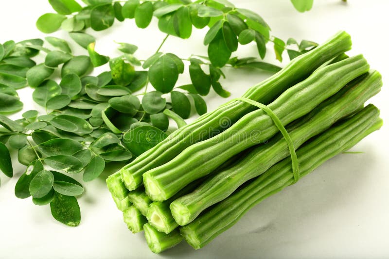 Indianina Moringa oleifera warzywo na białym tle obrazy stock