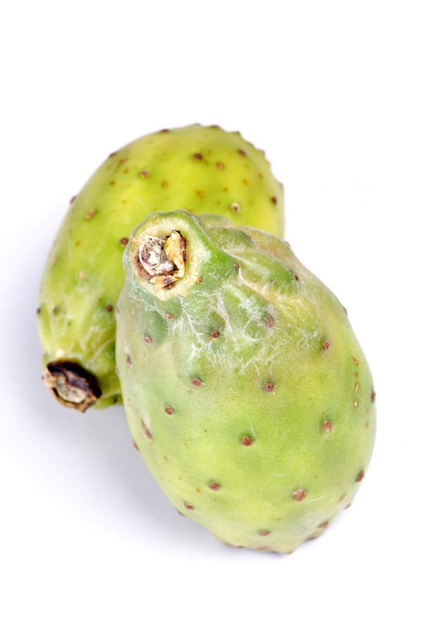 Indica opuntia ficus στοκ φωτογραφίες