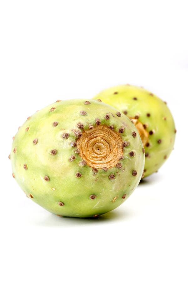 Indica opuntia ficus στοκ εικόνες