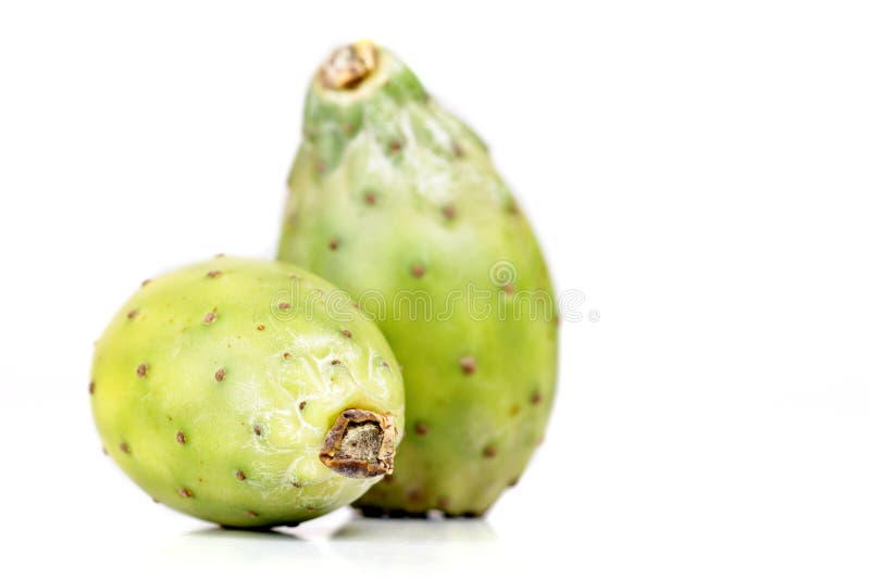Indica opuntia ficus στοκ εικόνες
