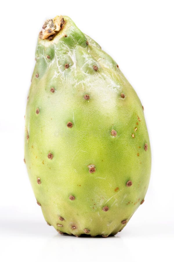 Indica opuntia ficus στοκ εικόνες με δικαίωμα ελεύθερης χρήσης