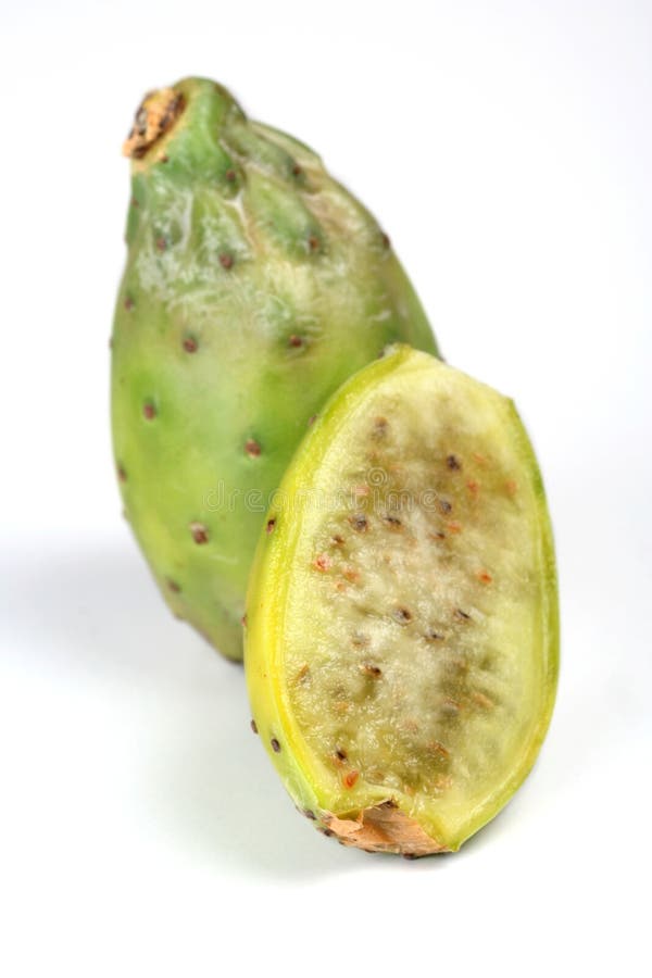 Indica opuntia ficus στοκ φωτογραφία με δικαίωμα ελεύθερης χρήσης