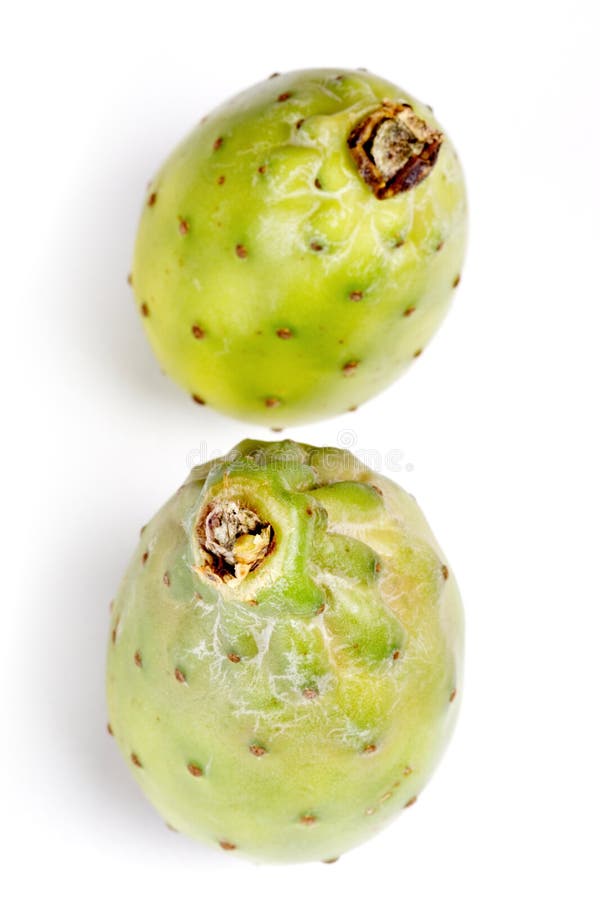 Indica opuntia ficus στοκ φωτογραφία