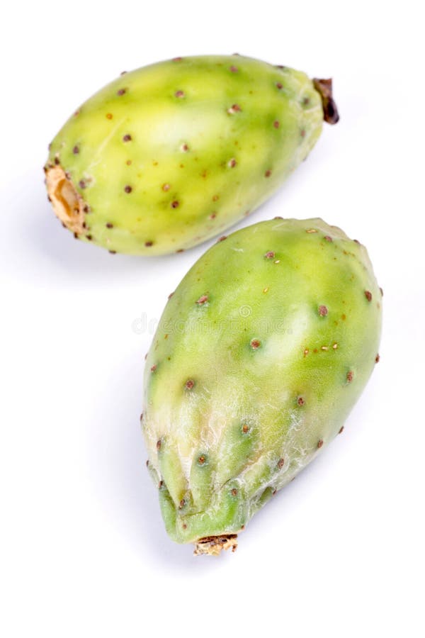 Indica opuntia ficus στοκ εικόνες