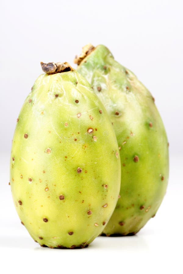 Indica opuntia ficus στοκ φωτογραφία με δικαίωμα ελεύθερης χρήσης
