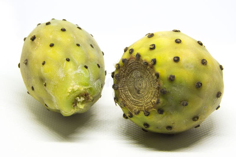 Indica opuntia ficus στοκ εικόνες