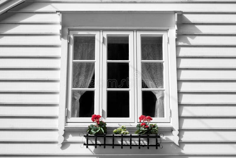 White window at wooden white house with two flowers arrangement. White window at wooden white house with two flowers arrangement