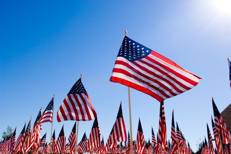 Indicador da bandeira americana na honra do dia dos veteranos fotos de stock royalty free Indicador da bandeira americana na honra do dia dos veteranos fotos de stock royalty free
