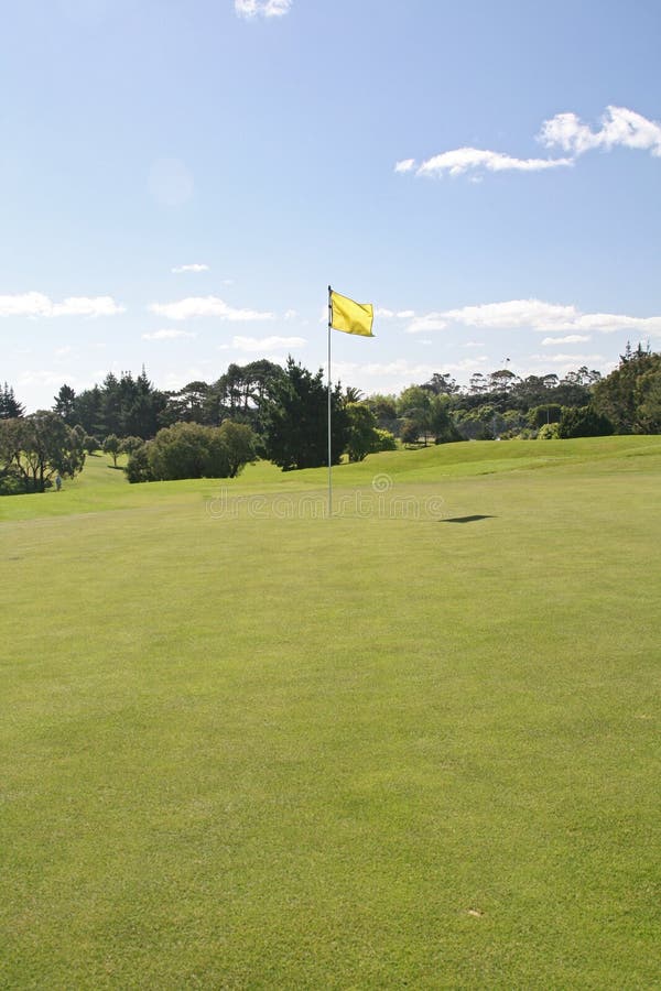 Golf flag on the green. Golf flag on the green