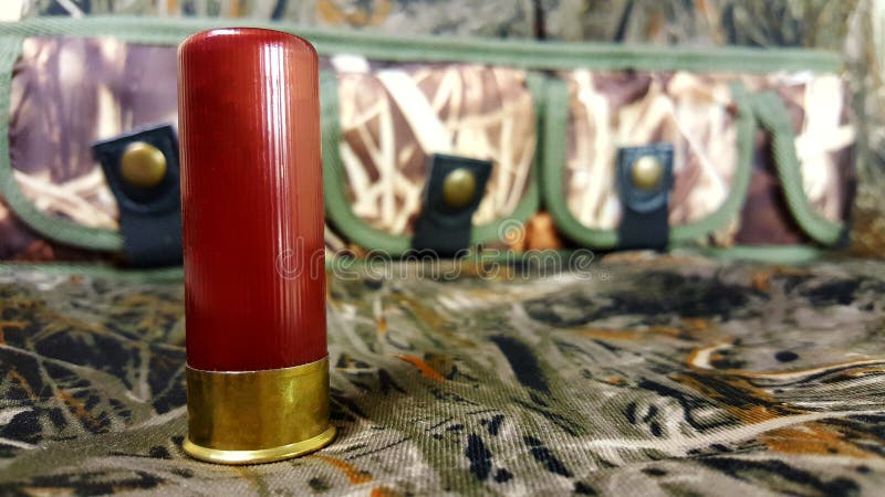 indicador 12 para un arma con una cartuchera foto de archivo indicador 12 para un arma con una cartuchera foto de archivo