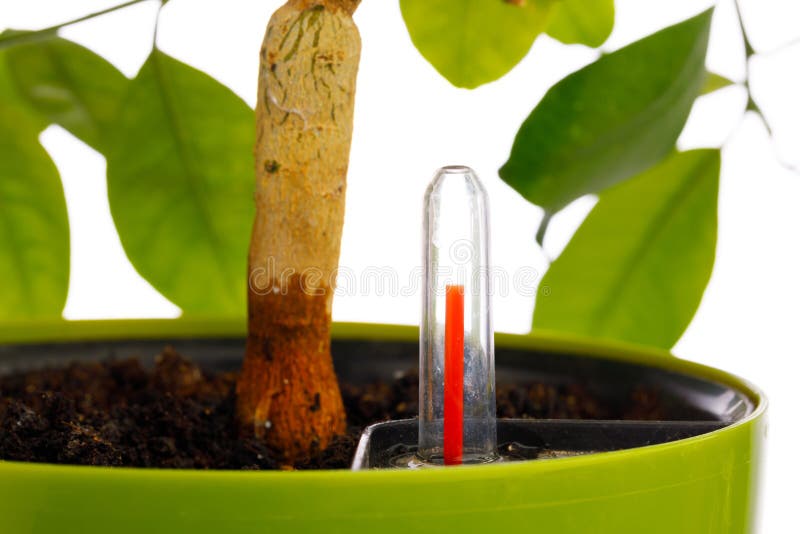 Red indicator of self watering planter pot, close-up view. Red indicator of self watering planter pot, close-up view