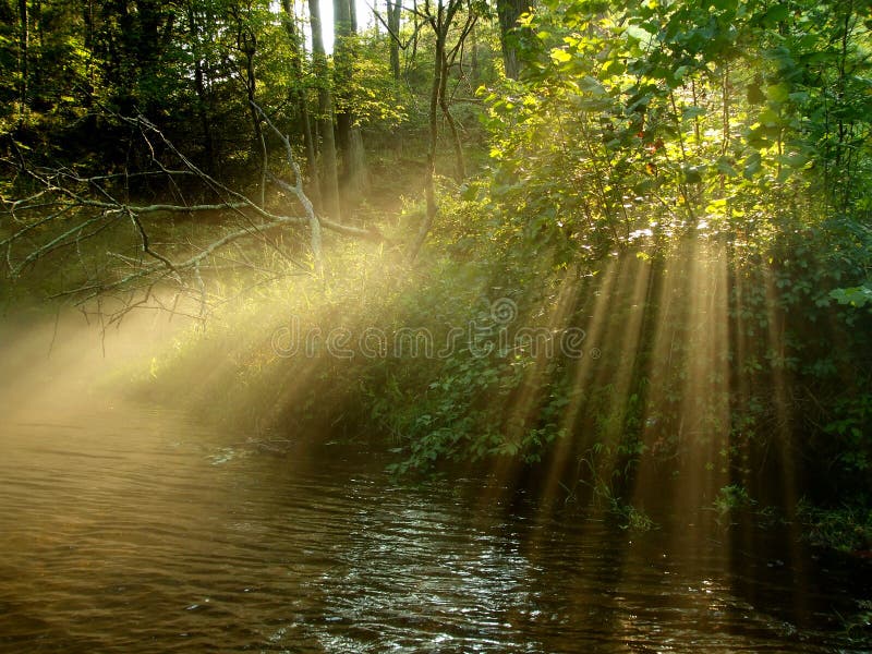 Photo of late afternoon light on the Gunpowder river in Maryland. This river is popular amongst fishermen, kayakers and nature lovers. Photo of late afternoon light on the Gunpowder river in Maryland. This river is popular amongst fishermen, kayakers and nature lovers.