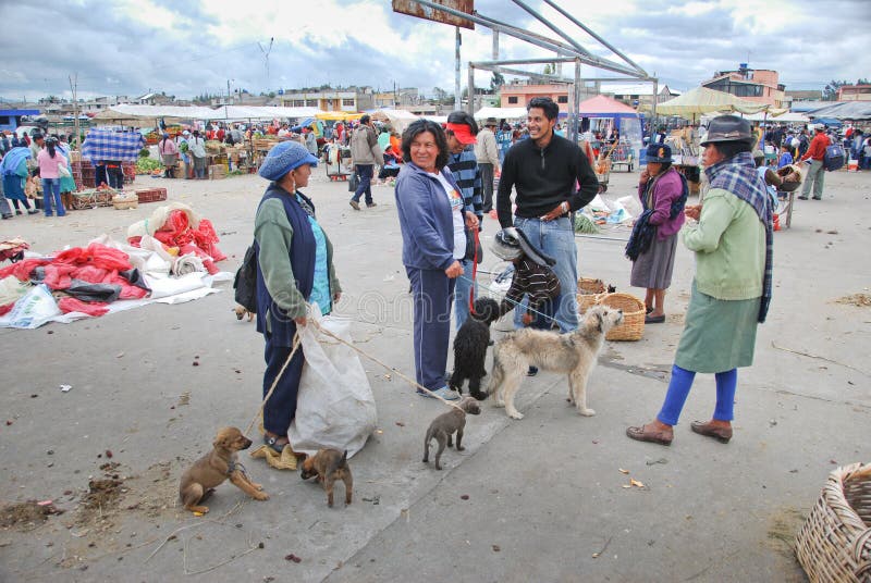 Indigenous Ecuadorianpeople in a local market of SaquisilÃ­. SaquisilÃ­ is a town in the Cotopaxi Province of Ecuador. It is the seat of the SaquisilÃ­ Canton. SasquisilÃ­ is located about 25 minutes from Latacunga and 2.5 hours from Quito. The town, located off the Pan-American Highway, is best known for the local market held in its eight plazas on Thursdays[1]. Unlike Otavalo, the market is mainly for locals from the highlands who come to buy pots and pans, electronics, herbal remedies, livestock or produce[2]. To go to the animal market, arrive between 7 and 9 a.m. Indigenous Ecuadorianpeople in a local market of SaquisilÃ­. SaquisilÃ­ is a town in the Cotopaxi Province of Ecuador. It is the seat of the SaquisilÃ­ Canton. SasquisilÃ­ is located about 25 minutes from Latacunga and 2.5 hours from Quito. The town, located off the Pan-American Highway, is best known for the local market held in its eight plazas on Thursdays[1]. Unlike Otavalo, the market is mainly for locals from the highlands who come to buy pots and pans, electronics, herbal remedies, livestock or produce[2]. To go to the animal market, arrive between 7 and 9 a.m.