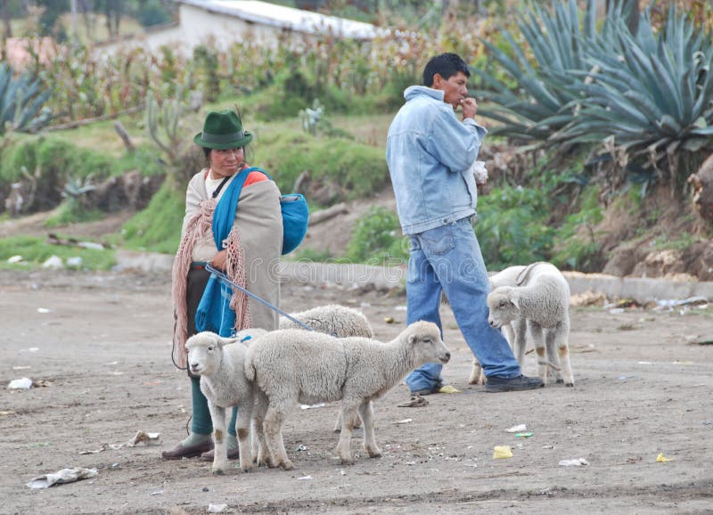 Indigenous Ecuadorian people in a local market of SaquisilÃ­. SaquisilÃ­ is a town in the Cotopaxi Province of Ecuador. It is the seat of the SaquisilÃ­ Canton. SasquisilÃ­ is located about 25 minutes from Latacunga and 2.5 hours from Quito. The town, located off the Pan-American Highway, is best known for the local market held in its eight plazas on Thursdays[1]. Unlike Otavalo, the market is mainly for locals from the highlands who come to buy pots and pans, electronics, herbal remedies, livestock or produce[2]. To go to the animal market, arrive between 7 and 9 a.m. Indigenous Ecuadorian people in a local market of SaquisilÃ­. SaquisilÃ­ is a town in the Cotopaxi Province of Ecuador. It is the seat of the SaquisilÃ­ Canton. SasquisilÃ­ is located about 25 minutes from Latacunga and 2.5 hours from Quito. The town, located off the Pan-American Highway, is best known for the local market held in its eight plazas on Thursdays[1]. Unlike Otavalo, the market is mainly for locals from the highlands who come to buy pots and pans, electronics, herbal remedies, livestock or produce[2]. To go to the animal market, arrive between 7 and 9 a.m.