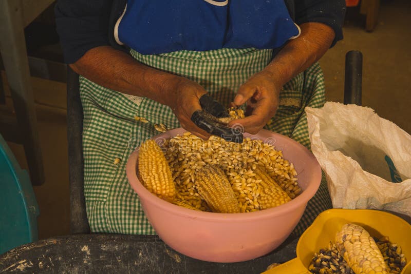 Indígena mexicano mujer bombardeo blanco maíz dulce introducción eso sobre el sobre el crear masa, típico mexicano comida.