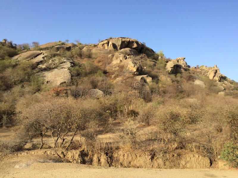 Indisch groen landschap stock foto