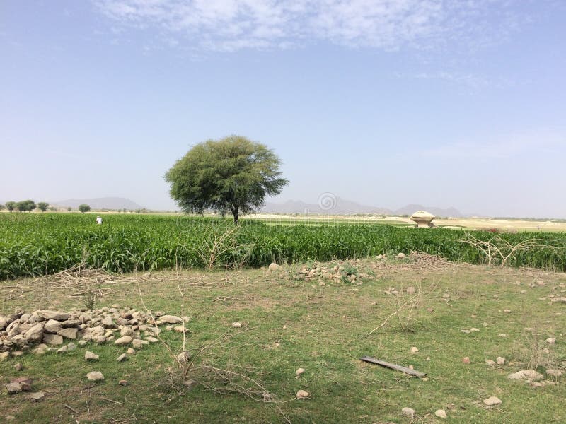 Indisch groen landschap royalty-vrije stock afbeelding