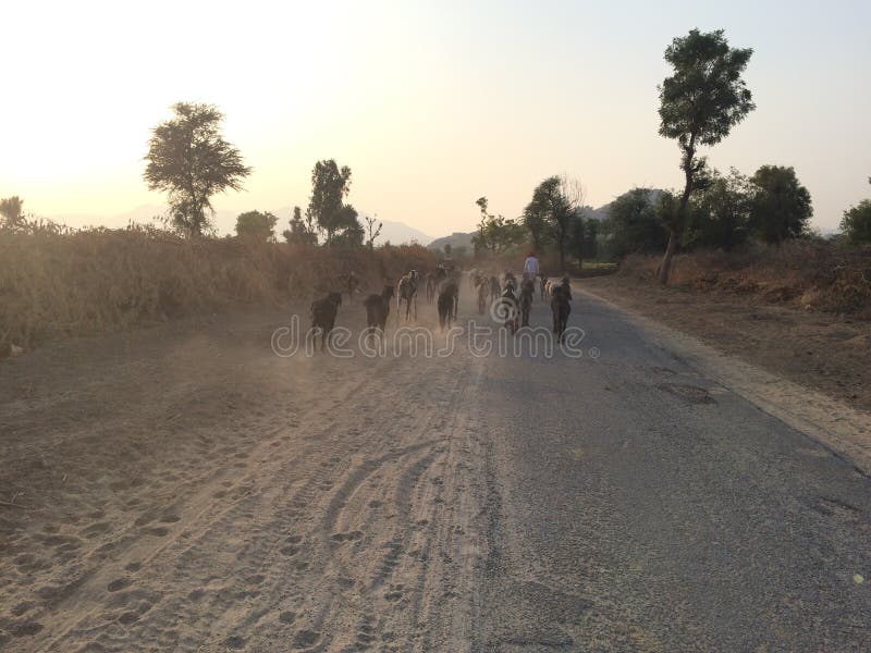 Indisch Landschap stock foto