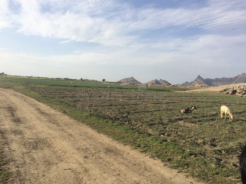 Indisch Landschap stock afbeelding