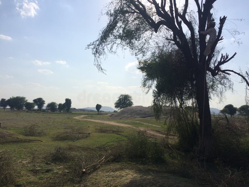Indisch Landschap royalty-vrije stock foto's