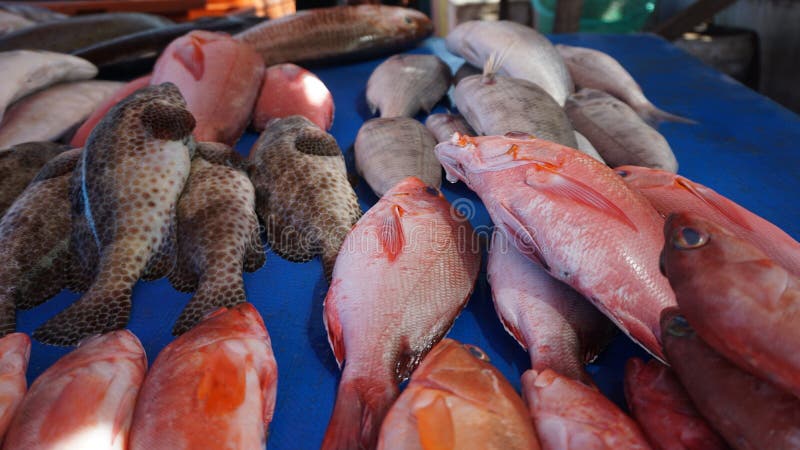 INDONESIA STREET SEAFOOD stock image. Image of food - 189557027